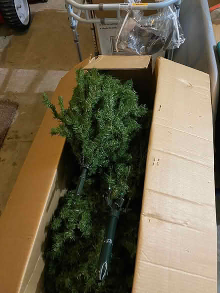 Photo of free Good quality Christmas Tree (Easthampton) #3