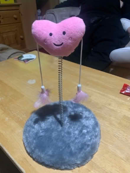 Photo of free Kitten Toy (Colney Hatch N10) #1