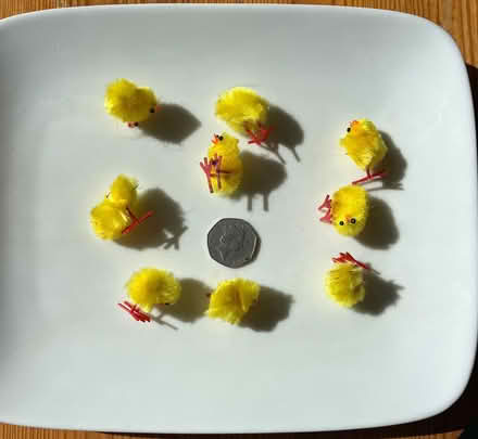 Photo of free Tiny fluffy chicks (Cox Green SL6) #1