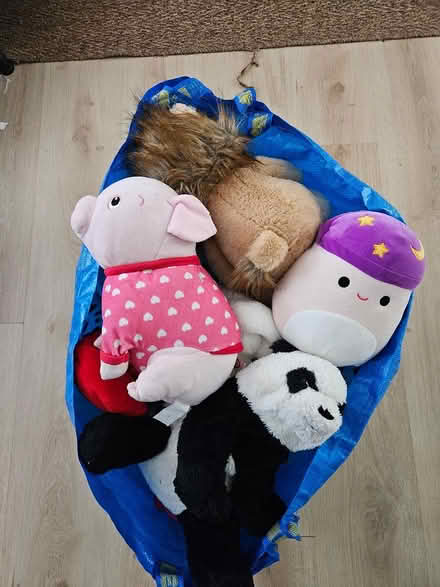 Photo of free Soft toys (Gracemount EH16) #1
