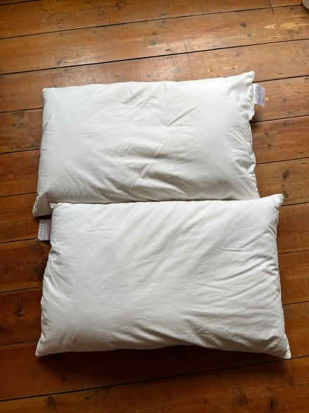 Photo of free 2 pillows (Woodlands TW7) #1