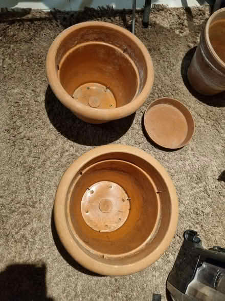 Photo of free Plant pots (SE20) #1