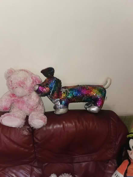 Photo of free Culldly Toys (Parkstone BH14) #3