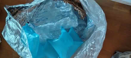 Photo of free Bubblewrap (Witham CM8) #1