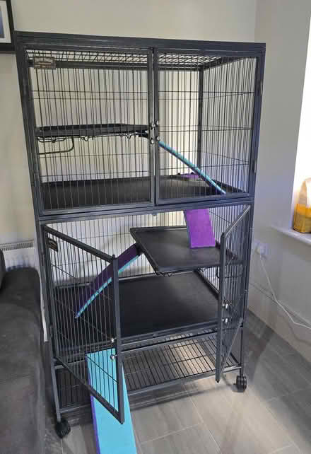 Photo of free pet carrier, small and large cage (churchtown D14) #4