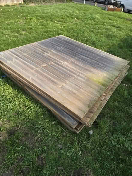 Photo of free Fence panels, stand size (Sg29nb) #1