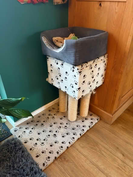 Photo of free High Cat bed/scratching post (Chellaston derby DE73) #2