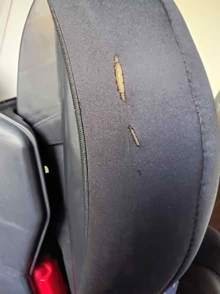 Photo of free car seat (Northop Hall CH7) #4