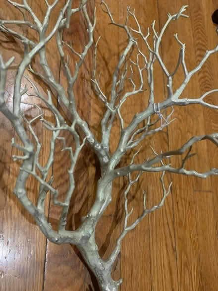 Photo of free Silver decorative branch (Bellrock area Malden) #2