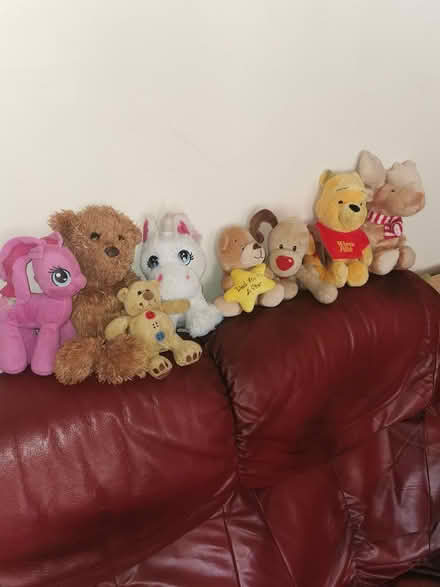 Photo of free Culldly Toys (Parkstone BH14) #4