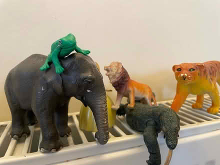 Photo of free Toys (Mill Hill (NW7)) #2