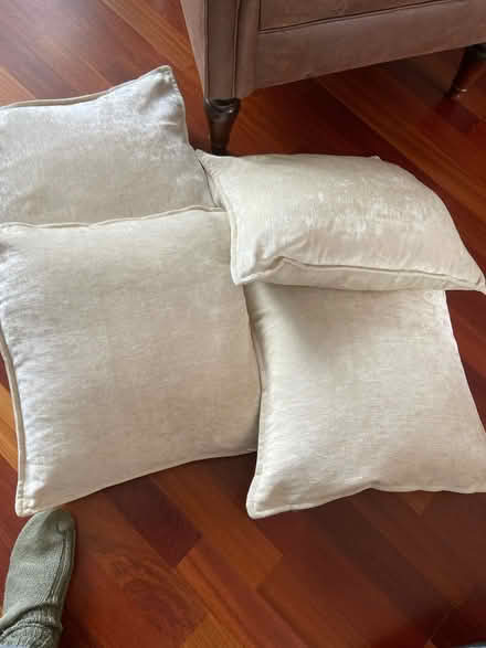 Photo of free Various cushions (Loose, Maidstone ME15) #2