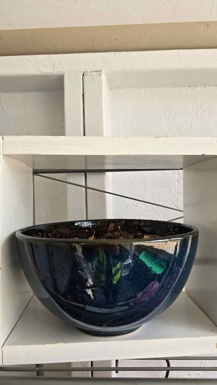 Photo of free Deep blue plant pot (Forest Glen) #1