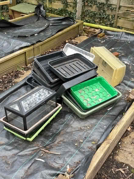Photo of free Seed trays and terrarium (Dormansland RH7) #1