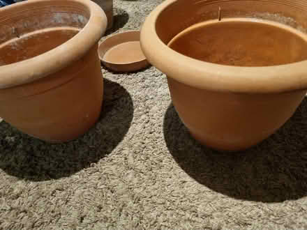 Photo of free Plant pots (SE20) #4