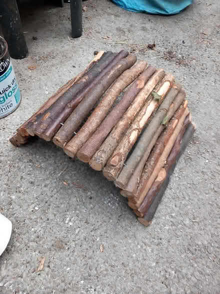 Photo of free small animal hide (Bare LA4) #1