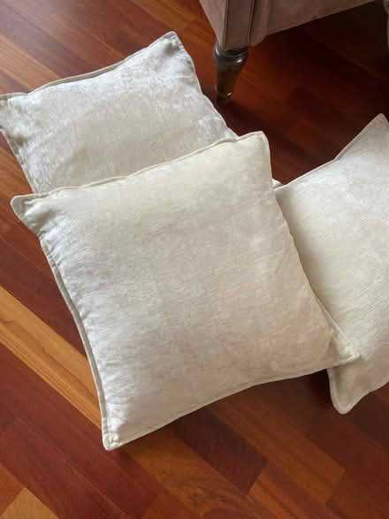 Photo of free Various cushions (Loose, Maidstone ME15) #1