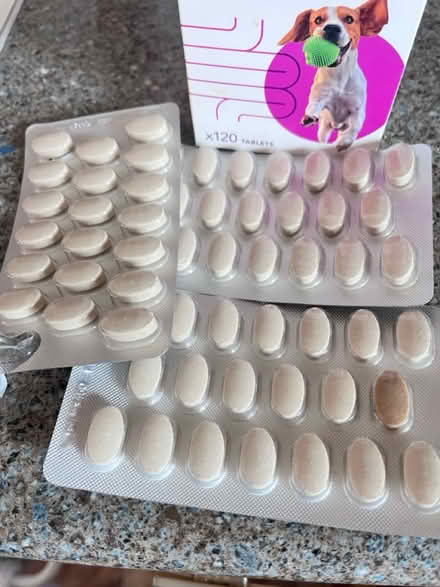 Photo of free Dogs You move Digestive care (IP4 Woodbridge Road) #2