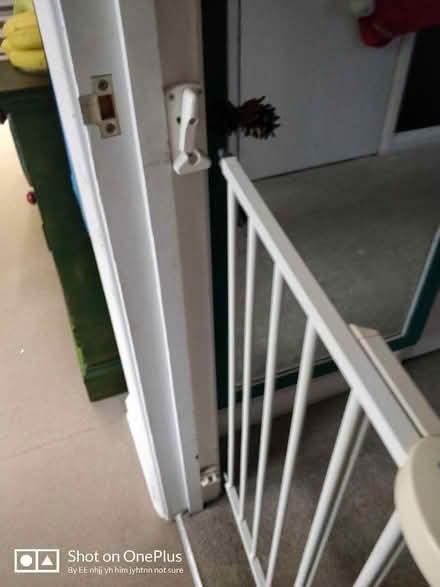 Photo of free Children's gate (Hedgerley SL2) #3
