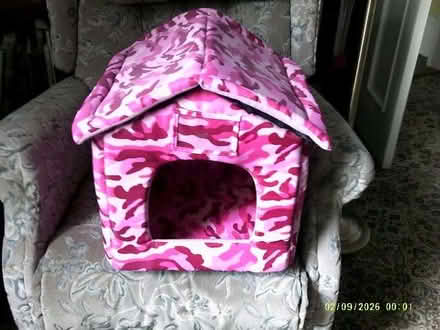 Photo of free "Cat cabin" (Cotton Tree BB8) #1
