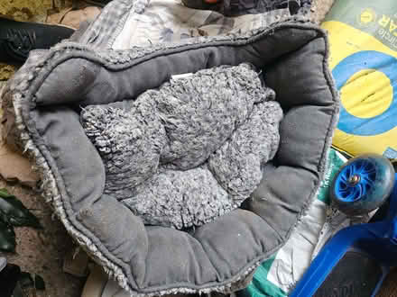 Photo of free Cat bed (Bromham MK43) #1