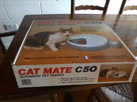 Photo of free cat mate (Bexleyheath DA6) #1