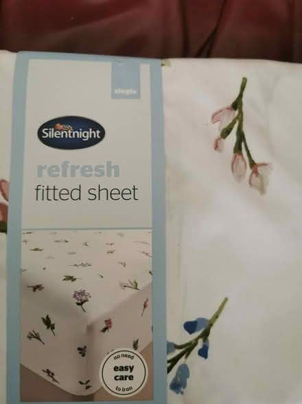 Photo of free Fired sheet (Parkstone BH14) #2