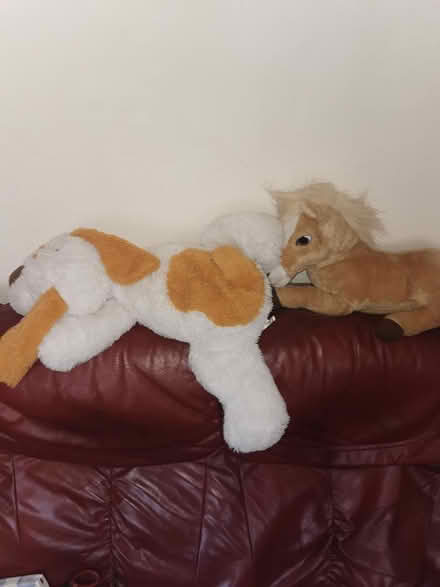 Photo of free Culldly Toys (Parkstone BH14) #1