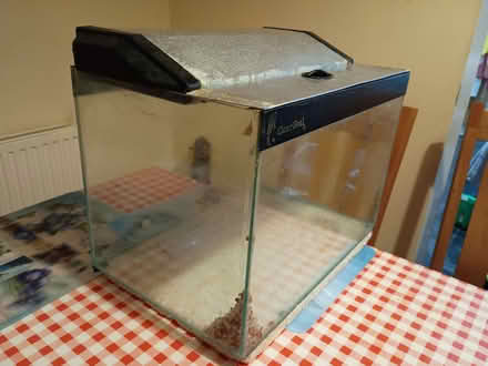 Photo of free 40 litre fish tank (Ainsdale-on-Sea PR8) #2