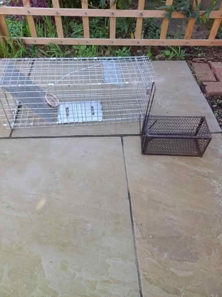 Photo of free Rodent traps (Pagham PO21) #1