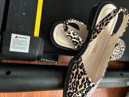 Photo of free Women’s Flats (Taunton) #1