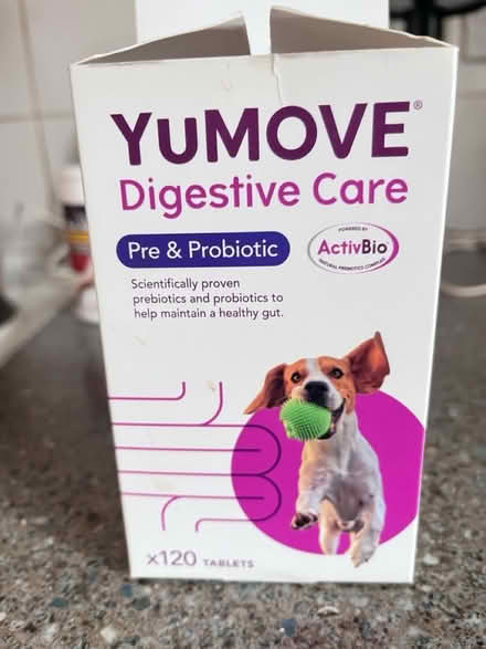 Photo of free Dogs You move Digestive care (IP4 Woodbridge Road) #1