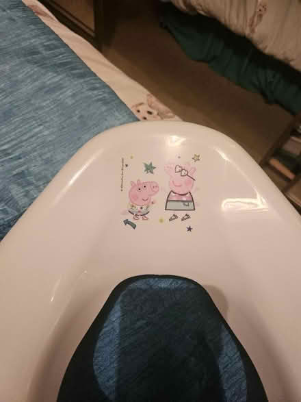 Photo of free Kids toilet seat (Ashton in Makerfield WN4) #4