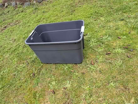 Photo of free New plastic container without lid (Seattle Bitter Lake) #1