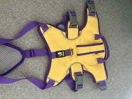 Photo of free Purple and Yellow dog harness (Beaconside ST16) #3