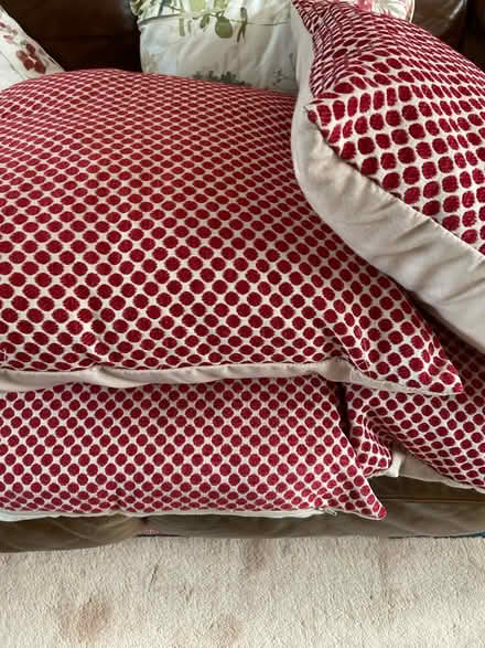 Photo of free Various cushions (Loose, Maidstone ME15) #3