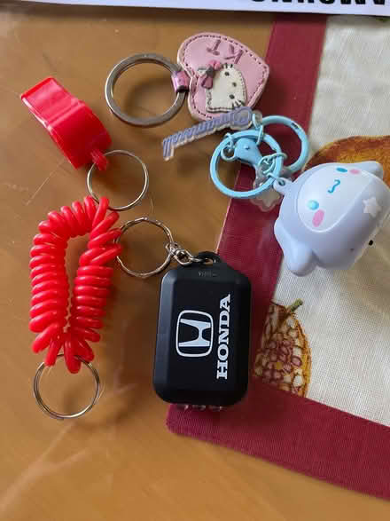 Photo of free Key chains (Saratoga Village) #1