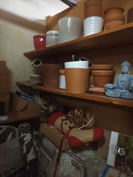 Photo of free Plant pots (various sizes) (Yonkers NY near Cross Cty mall) #3