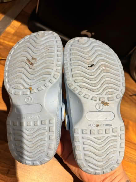 Photo of free Size 7 Bluey croc type slip ons (Chatham) #3