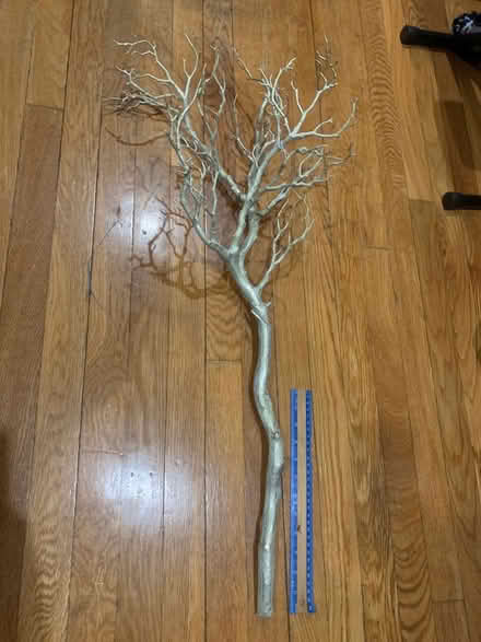 Photo of free Silver decorative branch (Bellrock area Malden) #1