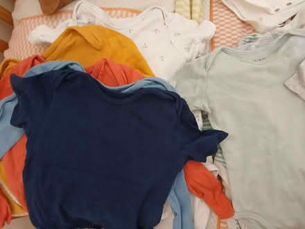 Photo of free Baby bodysuits (Blackbird Leys OX4) #4