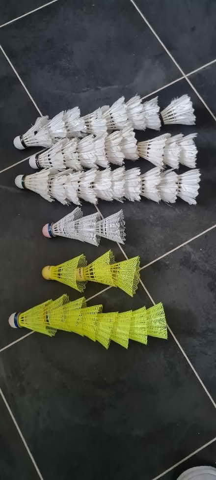 Photo of free Badminton shuttlecocks (Priestwood RG42) #1