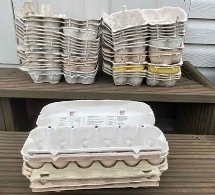 Photo of free egg boxes (Mitton GL20) #1