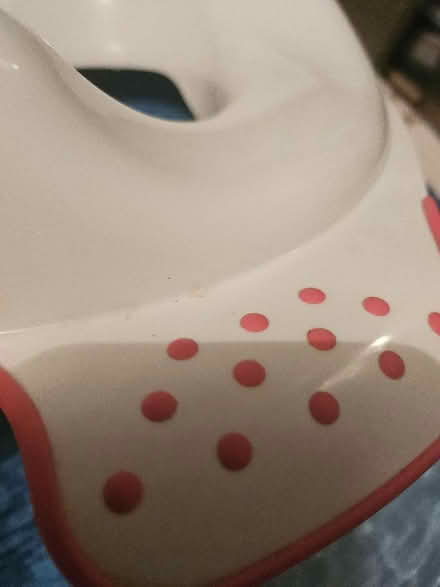 Photo of free Kids toilet seat (Ashton in Makerfield WN4) #3