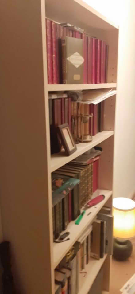 Photo of free Bookcase an books (N10 muswell hill) #1