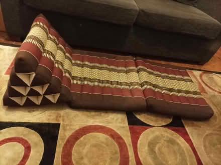 Photo of free floor cushion (Pitsmoor S4) #3