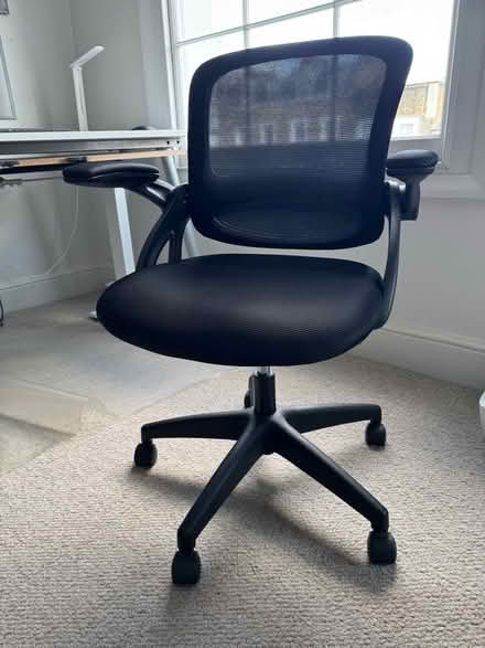 Photo of free Office chair (Camden Town NW1) #1