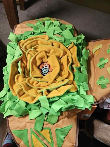 Photo of free Books, files, Bluetooth speaker etc (Curdridge) #2