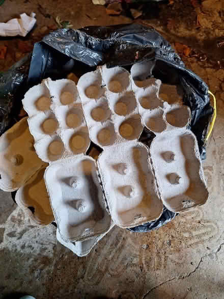 Photo of free Egg boxes (Appleby-in-Westmorland CA16) #1