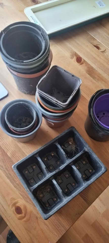 Photo of free Plant pots (Greatfield GL51) #1